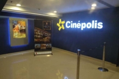 Multiplex Ads